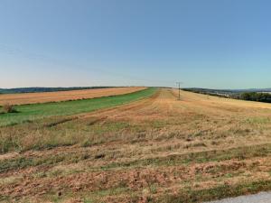 Prodej zemědělské půdy, Plasy, 15688 m2