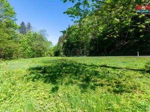 Prodej pozemku pro bydlení, Bělá pod Pradědem - Domašov, 1350 m2