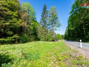 Prodej pozemku pro bydlení, Bělá pod Pradědem - Domašov, 1350 m2