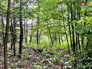 Prodej trvalého travního porostu, Svébohov, 1189 m2