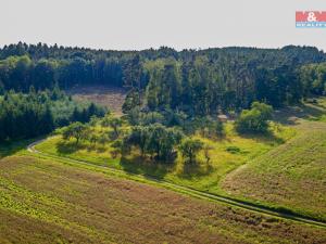 Prodej zemědělské půdy, Morašice, 5219 m2