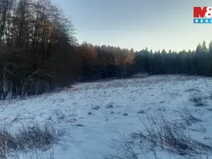 Prodej trvalého travního porostu, Oselce - Kotouň, 19732 m2