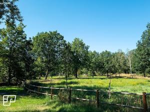 Pronájem pozemku pro komerční výstavbu, Jeníkov, 13072 m2