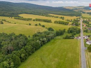 Prodej trvalého travního porostu, Dětřichov, 4178 m2