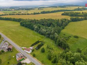 Prodej trvalého travního porostu, Dětřichov, 4178 m2