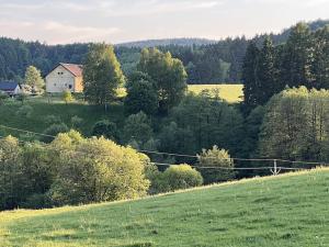 Prodej zemědělské usedlosti, Jívka, 500 m2