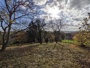 Prodej pozemku pro bydlení, Vonoklasy, Černošická, 1664 m2