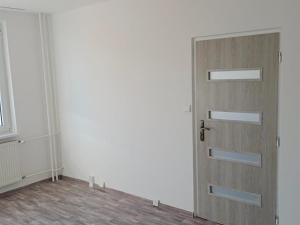 Pronájem bytu 1+1, Chomutov, Borová, 35 m2