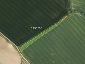 Prodej zemědělské půdy, Vracov, 17538 m2
