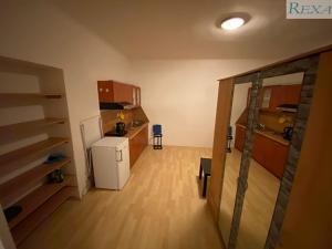 Pronájem bytu 1+kk, Brno, Branka, 34 m2