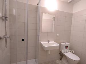 Pronájem bytu 1+kk, Čížová, 27 m2