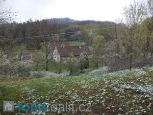 Prodej pozemku, Benešov nad Černou, 2520 m2