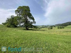 Prodej zemědělské půdy, Čkyně, 15810 m2