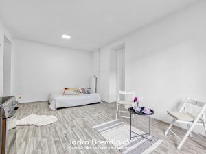 Prodej bytu 2+kk, Ostrava, Alšovo náměstí, 53 m2