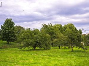 Prodej pozemku pro bydlení, Rybník, 2164 m2