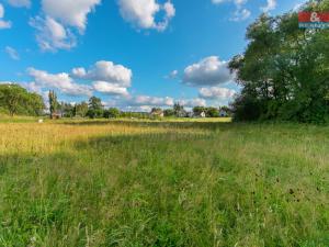 Prodej trvalého travního porostu, Příkosice, 3898 m2