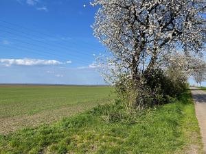 Prodej zemědělské půdy, Zápy, 142211 m2