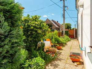 Prodej chalupy, Jedomělice, 180 m2