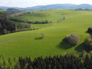 Prodej zemědělské půdy, Hanušovice - Hynčice nad Moravou, 15879 m2