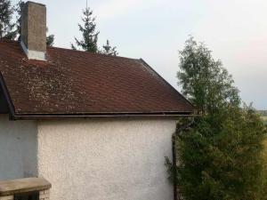 Prodej chaty, Charvatce, 49 m2