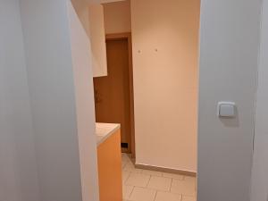 Prodej bytu 1+kk, Praha - Žižkov, Viklefova, 39 m2