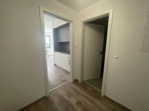 Pronájem bytu 1+kk, Plzeň - Východní Předměstí, Papírnická, 28 m2