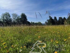 Prodej pozemku, Kolinec - Lukoviště, 43426 m2