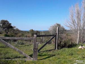 Prodej rodinného domu, Trinità D'Agultu, Sardinie, Itálie, 100 m2