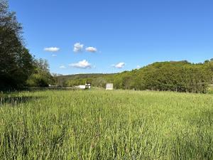 Prodej pozemku pro komerční výstavbu, Biskupice, 8000 m2