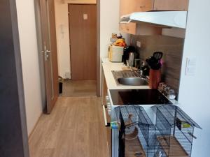 Prodej bytu 1+kk, Uherský Brod, 30 m2