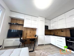 Pronájem bytu 1+kk, Plzeň, náměstí Generála Píky, 28 m2