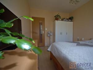 Prodej bytu 3+1, Studénka, Sjednocení, 70 m2