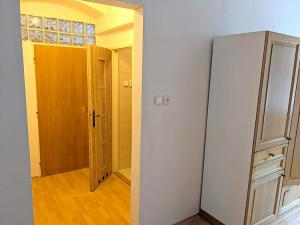 Pronájem bytu 1+1, Opava, Těšínská, 47 m2