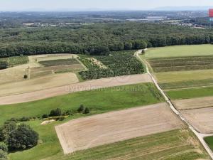 Prodej zemědělské půdy, Ludgeřovice, 2506 m2