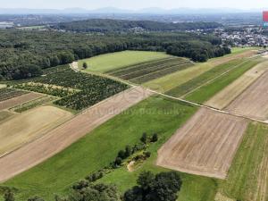 Prodej zemědělské půdy, Ludgeřovice, 2506 m2