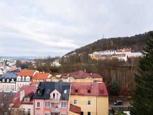 Pronájem bytu 3+1, Karlovy Vary, Petřín, 68 m2