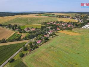 Prodej trvalého travního porostu, Výrov, 1193 m2