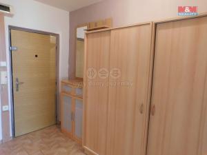 Prodej bytu 2+kk, Litvínov - Janov, Hamerská, 40 m2