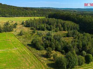 Prodej zemědělské usedlosti, Hracholusky - Obora, 301 m2