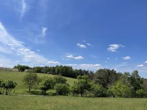 Prodej pozemku pro bydlení, Chocnějovice, 1200 m2