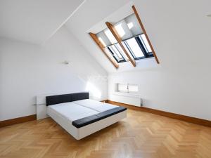 Pronájem bytu 4+kk, Praha - Josefov, Žatecká, 164 m2