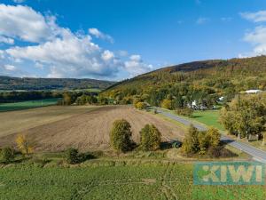 Prodej pozemku pro komerční výstavbu, Mankovice, 21944 m2