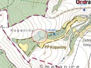 Prodej trvalého travního porostu, Ondratice, 2250 m2