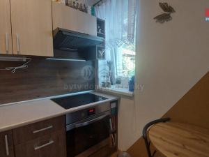 Pronájem bytu 1+kk, Český Těšín, Brandýská, 28 m2