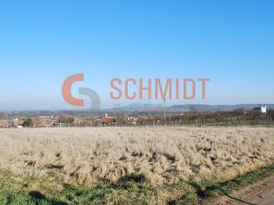 Prodej sadu/vinice, Drnholec, 12181 m2