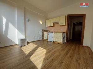 Pronájem bytu 1+kk, Praha - Písnice, Na okruhu, 20 m2