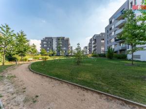 Prodej bytu 1+1, Praha - Hloubětín, Laponská, 38 m2