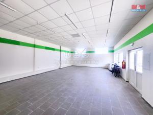 Pronájem obchodního prostoru, Praha, Přátelství, 610 m2