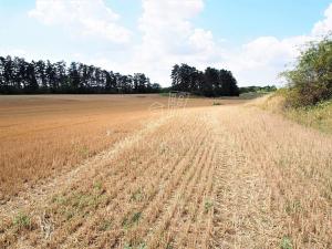 Prodej zemědělské půdy, Praha - Řeporyje, Koterovská, 35606 m2