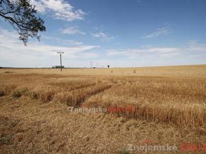 Prodej zemědělské půdy, Blanné, 24000 m2